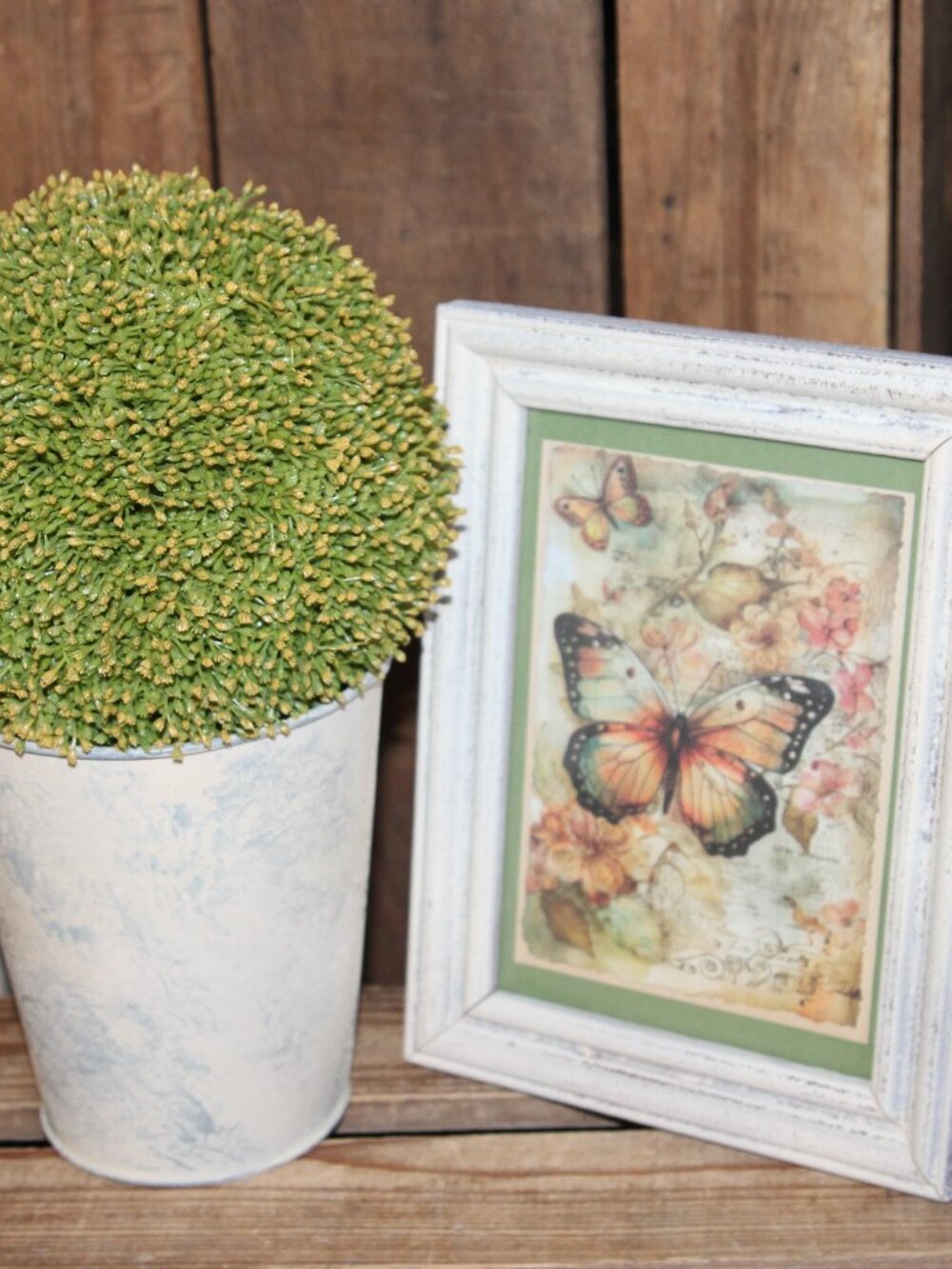 French Country Farmhouse Sedum Bucket Topiary Butterfly Floral Picture